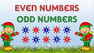 Even Number And Odd Numbers | Learning Even/Odd Numbers | Kindergarten | KG1 Math| even/odd for kids