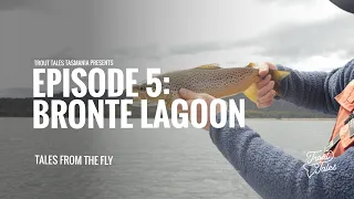 Tales From The Fly - Episode 5: Bronte Lagoon