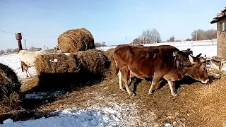 Про идеальное хозяйство.