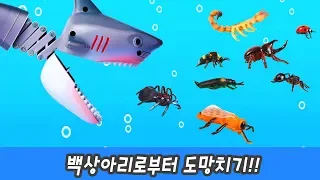 한국어ㅣ백상아리로부터 도망치기,  징글징글 곤충 및 벌레 이름, 어린이 동물만화ㅣ꼬꼬스토이