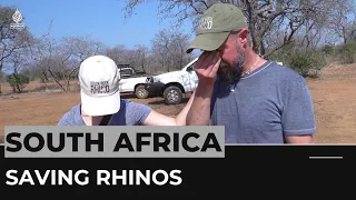 South Africa: Vets trim horns to protect rhinos from poachers