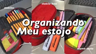 Organizando meu estojo