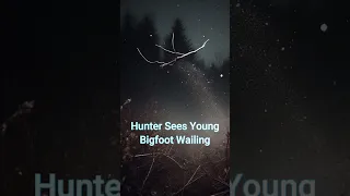 Hunter Sees Young Bigfoot Wailing