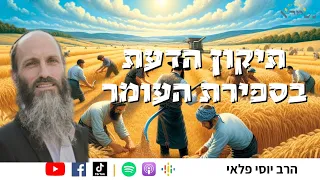 חברותא בנפלאות | תיקון הדעת בספירת העומר | הרב יוסי פלאי