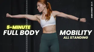 5 Min. Everyday Mobility | All Standing Routine - Do This ANYWHERE | Beginner-Friendly | No Talking