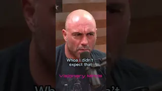 Joe Rogan Startled By Paul Stamets Being In Danger Because Of Portobello Mushrooms 🍄#joerogan