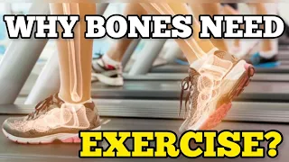 Why Exercise is Important for Bone Health | How Your Bones Change With Exercise