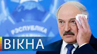 Белорусы или бацька? Как народ поздравил Лукашенко в день рождения | Вікна-Новини