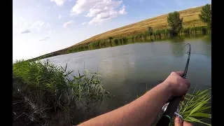 Рыбалка в Ставропольском крае. Река Егорлык. Июль 2019