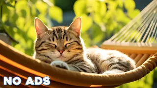 12 Hours Cat Healing Music 🐈 Soothing Sounds for Deep Relaxation And Sleep With Soothing Piano Sound