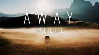 🌳 【Ambient ✧ Relaxing】  ⌁ Journey for the Mindfulness   ⌁ Playlist 🎷