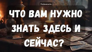 ЧТО ВАМ НУЖНО ЗНАТЬ ЗДЕСЬ И СЕЙЧАС?