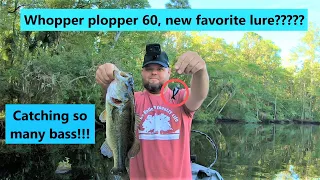 Whopper plopper 60 is AWESOME! Insane top water bass fishing