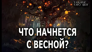 ЧТО НАЧНЕТСЯ С ВЕСНОЙ 🔥💯🔥 ГАДАНИЕ ОНЛАЙН  РАСКЛАД ТАРО