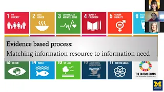 Virtual Webinar: Global SRH Data Sources - A Deeper Dive/Review