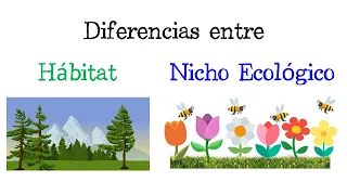 🦁 Diferencias entre Hábitat y Nicho Ecológico 🌳 EJEMPLO [Fácil y Rápido] | BIOLOGÍA |