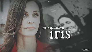 Iris • Gale & Dewey