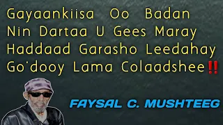 faysal cumar mushteeg heesta hay Gabine hay Gooynin lyrics | faysal cumar mushteeg hees Guhaad kaban