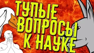 Тупые вопросы к науке | Вопросы на которые наука не может дать ответа | Syrix Goose