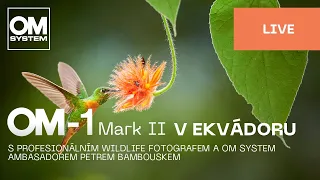 Czech | OM-1 Mark II v Ekvádoru s profesionálním wildlife fotografem Petrem Bambouskem