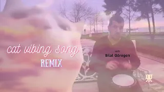 Cat Vibing To Ievan Polkka EDM Remix - PR4NV | Bilal Göregen | Cat Vibing Meme Remix | #WithMe