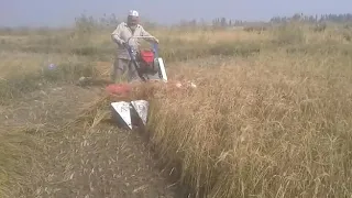 Мини комбайн. Rice reaper 120