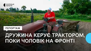 "Гарний врожай, але ціни нема": як копають і продають картоплю на Новгород-Сіверщині