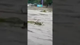 Lebel ng tubig sa Marikina River itinaas sa second alarm