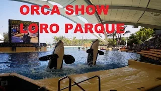 Orca Show. Loro Parque. Tenerife 2019.