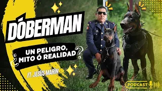 Dóberman...pierde el control por las noches? Ep 3 Los RecomendaDogs