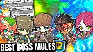 5 AMAZING Boss Mules To Make in Maplestory NEW AGE