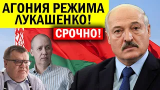 Срочно.! Лукашенко включил ДИКТАТОРА.! Цепкало и Бабарико хватаются ЗА ГОЛОВУ - ОМОН вяжет всех..!