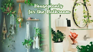 SUB) DIY Macrame Plant Hangers | Best Houseplants For The Bathroom