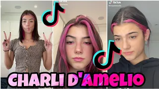 Charli D'Amelio New TikTok Compilation November 2020 (And The D'Amelio Family)