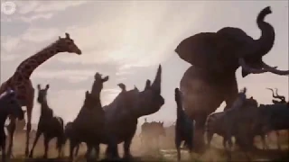 The Lion King - Circle Of Life (opening scene 2019)