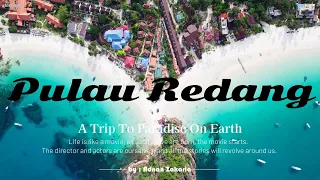 Pulau Redang 4D3N Full Story Trip// Kg Redang // Long Beach // Snorkeling With Nemo,Turtle&Sharks//