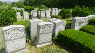 THE GRAVE OF TOMMY RAMONE (Thomas Erdelyi) - ORIGINAL RAMONE MEMBER