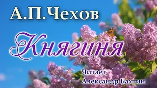 А П  Чехов Княгиня  Рассказ  Аудиокнига