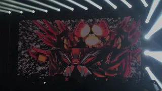 Excision Tampa