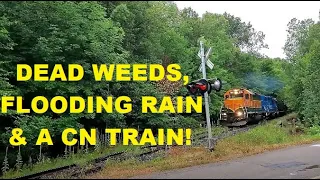 Train Flying Across RR Crossing, Freaky Flood & A CN Train Too! #trains #trainvideo | Jason Asselin