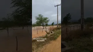 enchente em Banzaê povoado de salgado na Bahia .