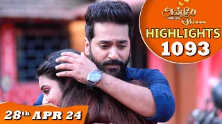 Anbe Vaa Serial | EP 1093 Highlights |28th April 24 | Virat | Shree Gopika | Saregama TV Shows Tamil