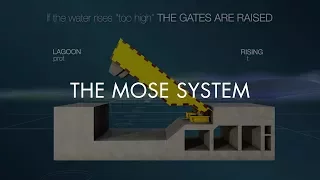 THE MOSE SYSTEM