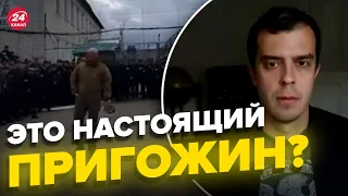 Клоунада! Доброхотов о том, как Пригожин вербует заключенных