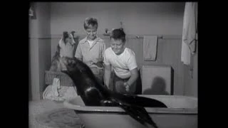 Lassie - Episode 33 - "The Monster" (Season 2, #7 - aired 10/23/1955):