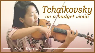 Cheap Beginner Violin from Amazon (Mendini MV300) Played by a Pro Violinist (Wow!)