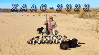 Хаас 2023. Тубэ /нам улууьа./ Охота на гуся в Якутии. /Река Лена./ Goose hunting in Yakutia/