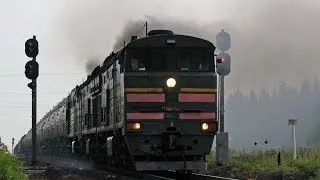 Тепловозы 2ТЭ10М и 2ТЭ10У (Котлас 2006) / 2TE10M and 2TE10U diesel locomotives (RZD, Kotlas 2006)