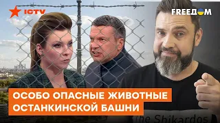 Антонівський міст втомився, але його ВІДРЕМОНТУВАЛИ: добірна брехня путінських прихвоснів — Герман