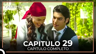 Calikusu Capitulo 29